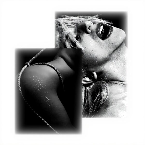 Sexstellungen Buch Anatomie Grundlagen Französische Edition