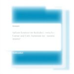 Sallust Caesar Cato Rededuell GRIN Verlag Antike Analyse