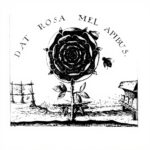 Summum Bonum Magie Kabbala Alchemie Rosenkreuzer Buch