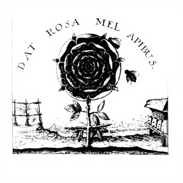 Summum Bonum Magie Kabbala Alchemie Rosenkreuzer Buch