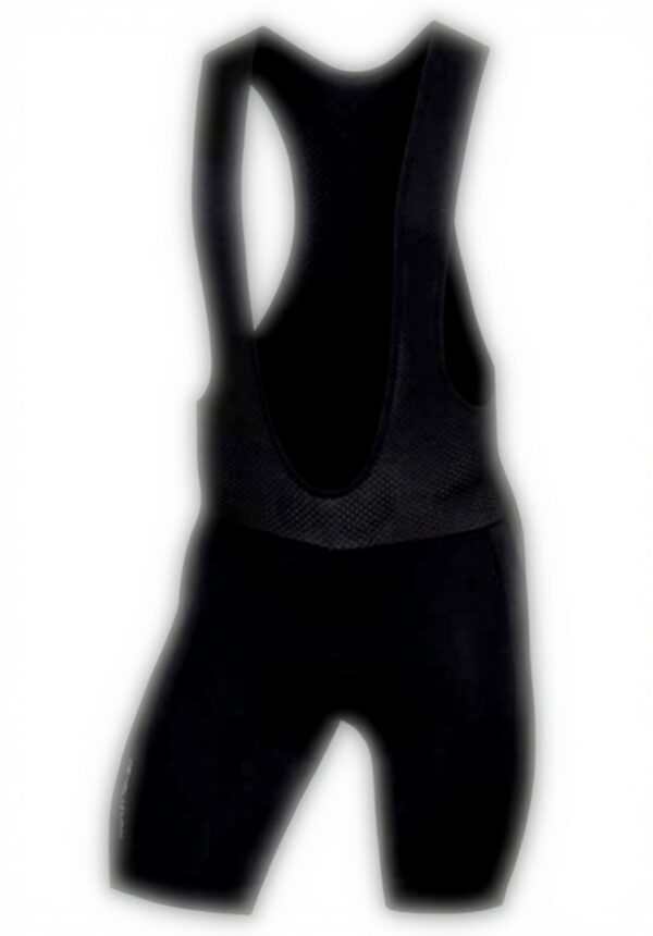 PEARL IZUMI Quest Bib Shorts Mehrfarbig Radsport